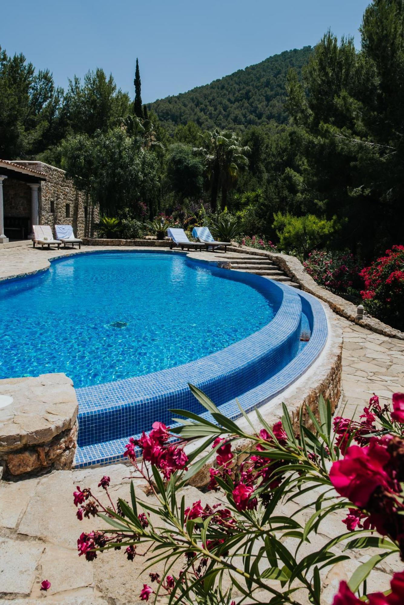 Superior Villa