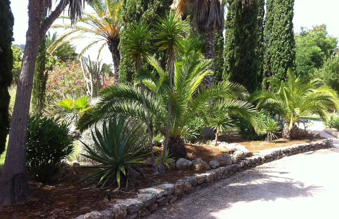 Ibiza - Bungalows Siesta A 50Mt Dal Mare-1
