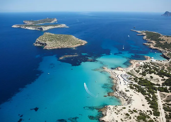 Excelsior Estudios & Apartamentos Sant Antoni de Portmany acceptant les animaux